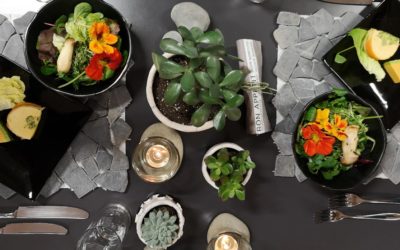 Electrolux und Danielas Keramik November 18