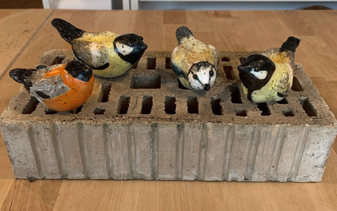 Vogel-Workshop Frühling 2022